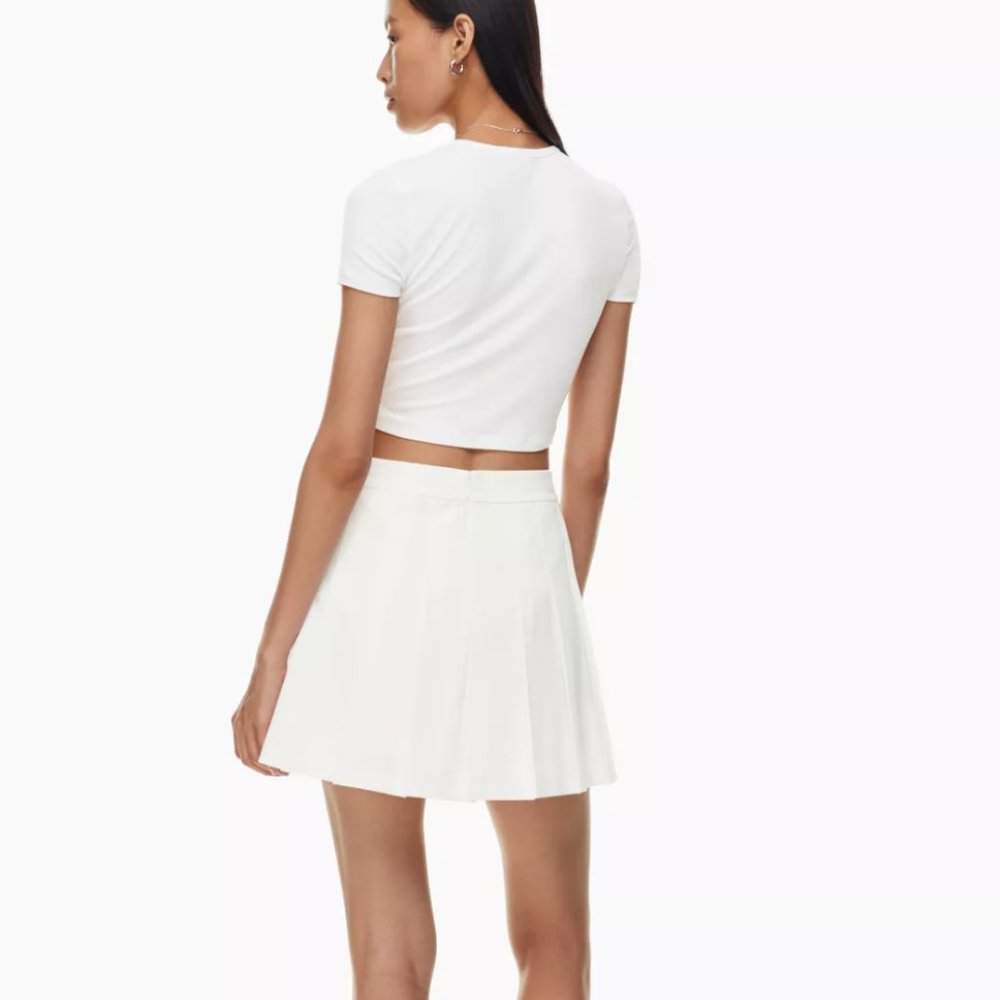 Aritzia Skirt